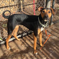 Thumbnail photo of Princess #2