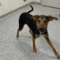 Thumbnail photo of Princess #3