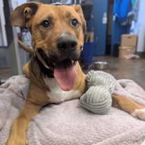 Thumbnail photo of Russ #1