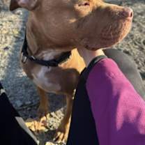 Thumbnail photo of Coco #1