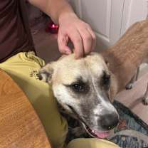 Thumbnail photo of Grim #2