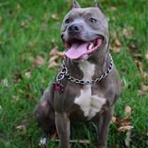 Thumbnail photo of Bia #1