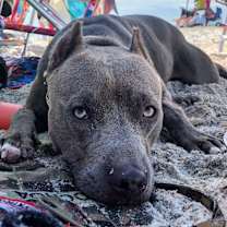 Thumbnail photo of Bia #2