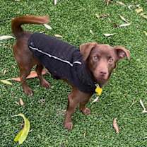 Thumbnail photo of Rigbee #1