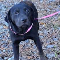 Thumbnail photo of 251176  Paris #3