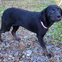 Thumbnail photo of 251176  Paris #4