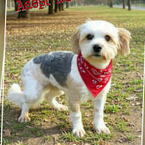 Thumbnail photo of Johnny #2