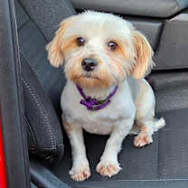 Thumbnail photo of Johnny #3