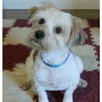 Thumbnail photo of Johnny #4