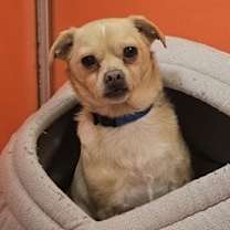 Thumbnail photo of Rudolph #2