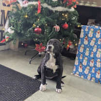 Thumbnail photo of Sugar #2