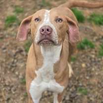 Thumbnail photo of Tate #1