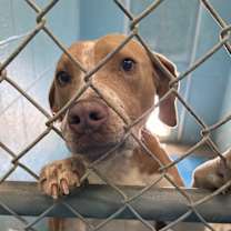 Thumbnail photo of Tate #2