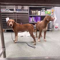 Thumbnail photo of Tate #3