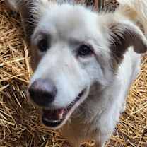 Thumbnail photo of Babba #2