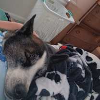 Thumbnail photo of Eclipse #3