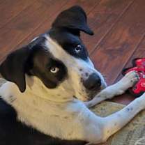 Thumbnail photo of Phil #1