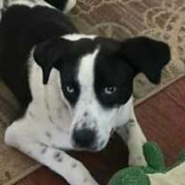 Thumbnail photo of Phil #3