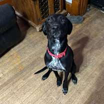 Thumbnail photo of Frelick #2