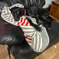 Thumbnail photo of Frelick #3