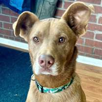 Thumbnail photo of Sid #2