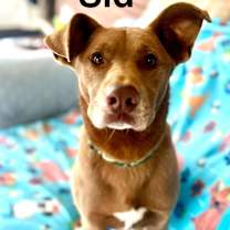 Thumbnail photo of Sid #3