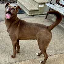 Thumbnail photo of Sid #4