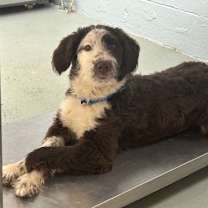 Thumbnail photo of Georgia #1