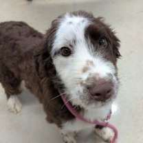 Thumbnail photo of Georgia #2