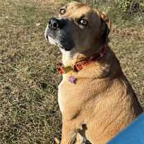 Thumbnail photo of Sundance #2