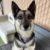 Thumbnail photo of Sunday #1