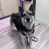 Thumbnail photo of Sunday #2