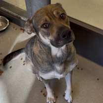 Thumbnail photo of Juno #2