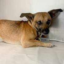 Thumbnail photo of Asher  #4