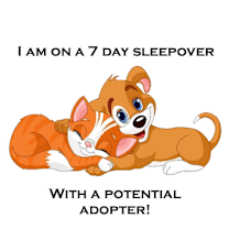 Thumbnail photo of Ranni D22-061 #1