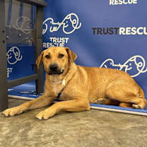 Thumbnail photo of FENNA #2