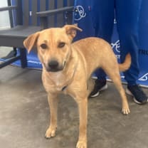 Thumbnail photo of FENNA #3