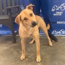 Thumbnail photo of FENNA #4