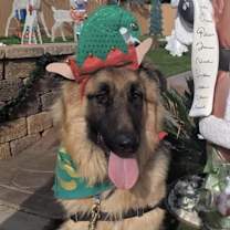 Thumbnail photo of Pancake #1