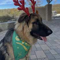 Thumbnail photo of Pancake #3