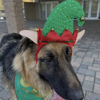 Thumbnail photo of Pancake #4