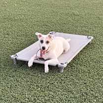 Thumbnail photo of Jake #2