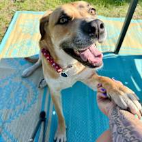 Thumbnail photo of Sundance #4