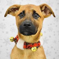 Thumbnail photo of Zuko #1