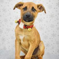 Thumbnail photo of Zuko #2