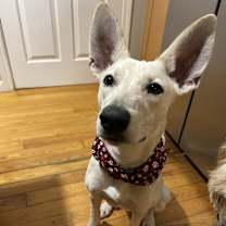 Thumbnail photo of Lexi #2