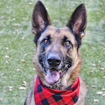 Thumbnail photo of Spencer #1