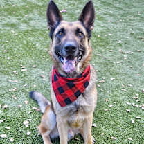 Thumbnail photo of Spencer #2