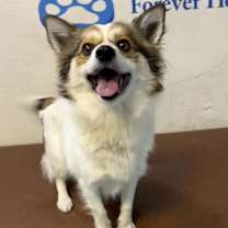 Thumbnail photo of Faye #1