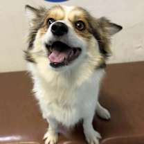 Thumbnail photo of Faye #2